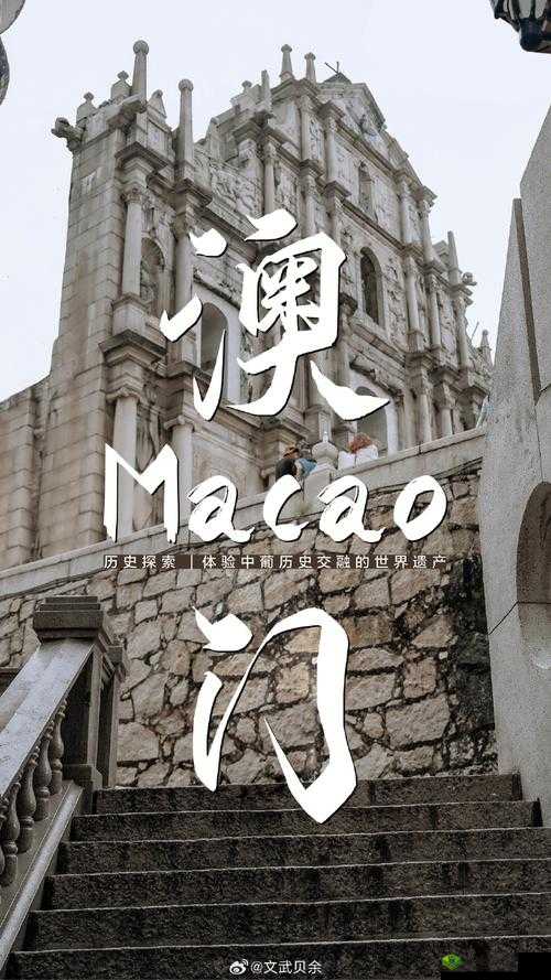 一入澳门深似海:那令人沉醉的繁华世界与无尽诱惑