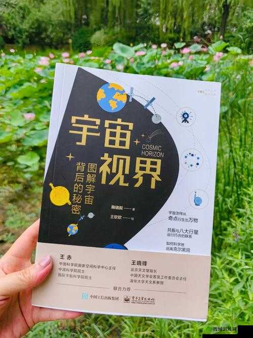 一区二区三区:探索未知的神奇领域