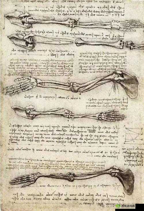 达芬奇密码在人版：探索人类未知的秘密