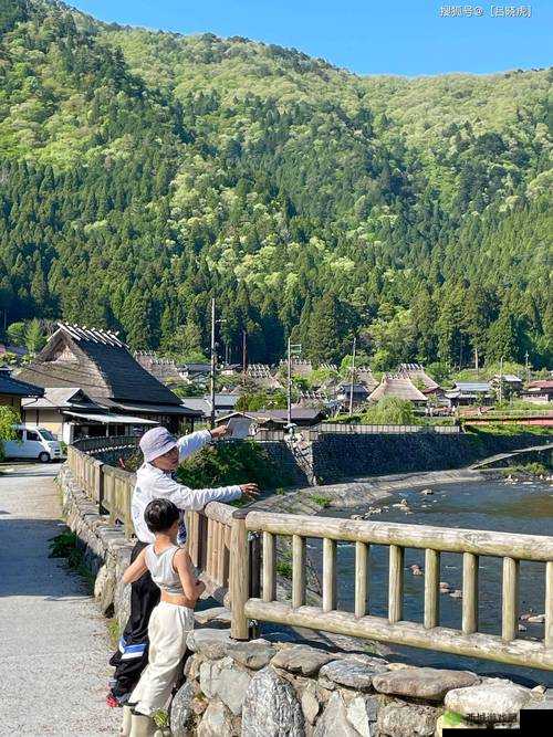 wwwxxx 日本 :呈现独特的日本风情与文化魅力