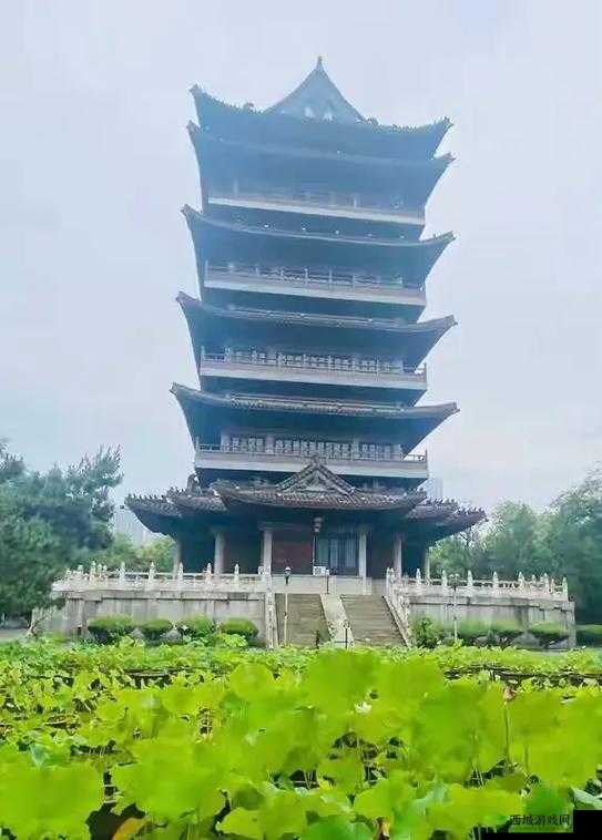 清风阁就爱干:这是我们一直坚持的事情