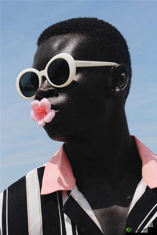 黑色之美:探索性黑人乄乄的完整性