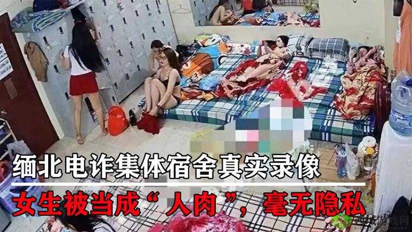 外网专门看缅北视频软件:带你揭开神秘的缅北面纱