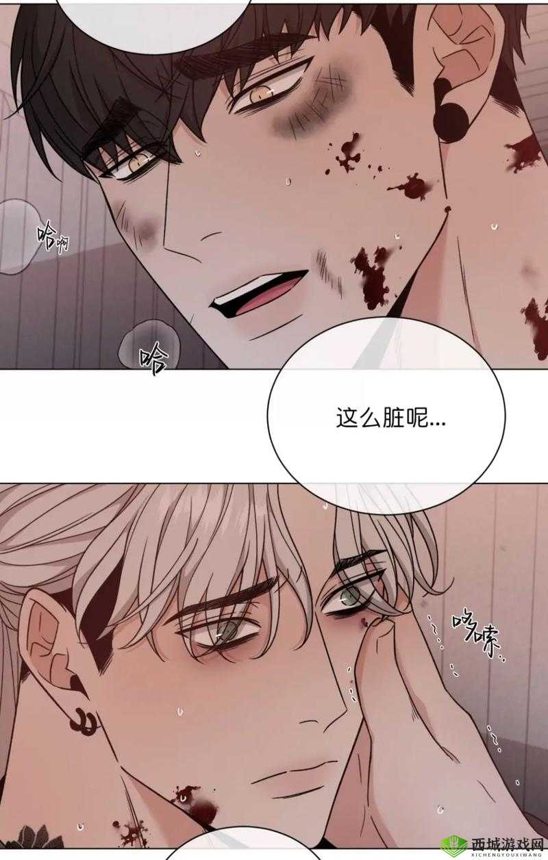 男女嗟嗟疼且还往里寒所引发的深刻思考