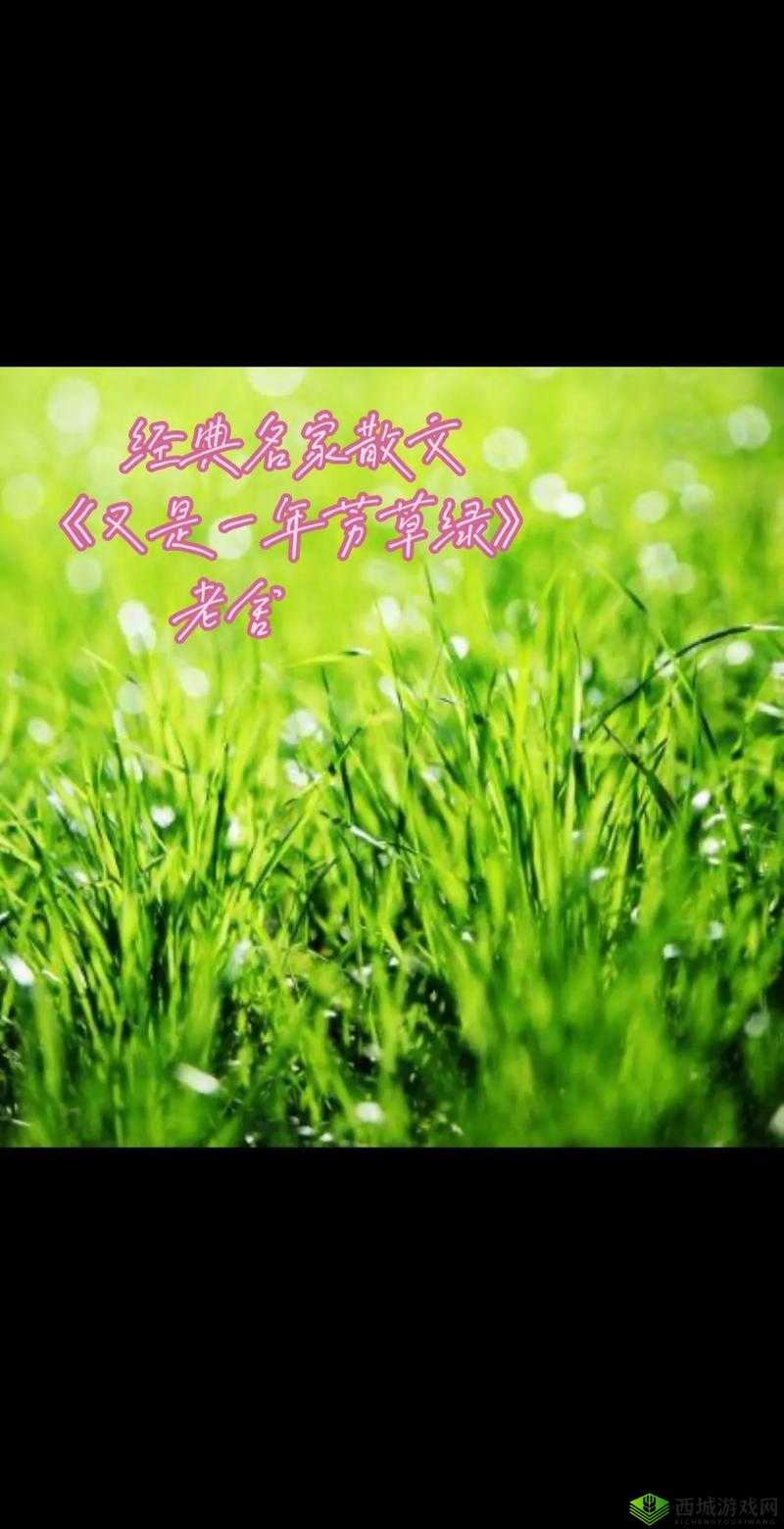 芳草有萋萋:探寻那片葱郁草丛中的无尽秘密