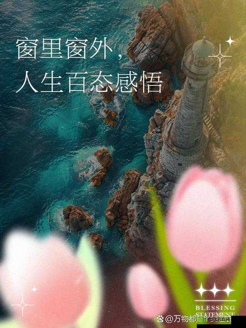 驭房之术:一部关于房屋掌控与人生百态的精彩故事