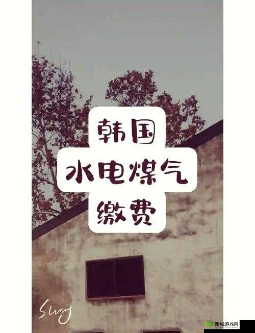 好看的韩国三色电费:关于其独特设计与实用价值的探讨