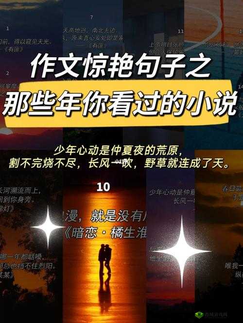 校花任芷娴的日记小说免费全文:她的青春秘密与成长历程