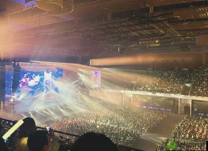 体育之妙:渺渺上体育课光阴的独特视角