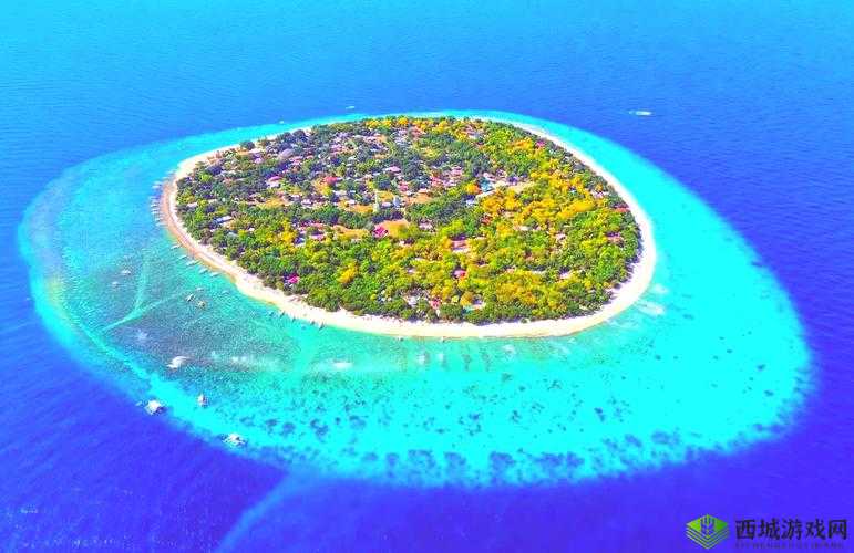 东南亚 10 一 12 仙踪林的旅游景点:探寻神秘仙境之旅