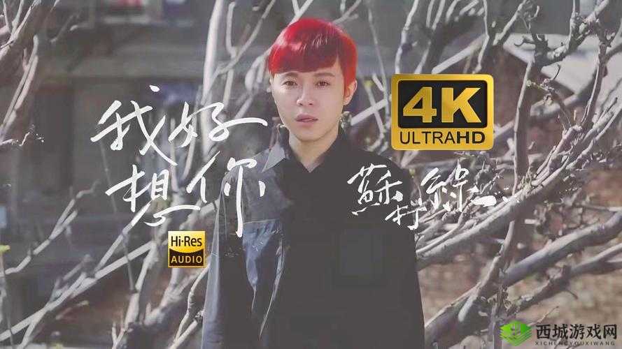 我想你高清 MV 观看视频:感受真挚情感的视觉盛宴