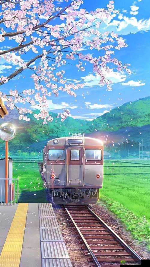 樱花动漫有广告弹窗:困扰、解决与未来展望