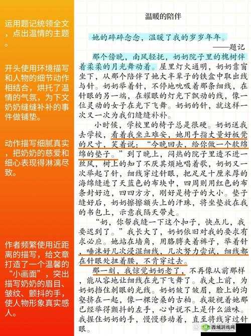 近相亲祖母 60 免费：跨越年龄的温暖亲情故事