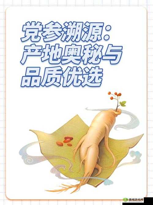 国产精品、国品、一二三产区区别解析:品质与产地的奥秘