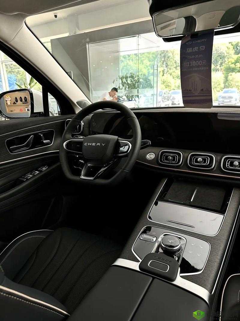 国产 SUV 精二区九色有什么特点:其优势与独特之处解析