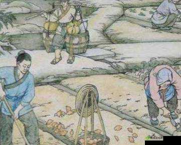 儿子耕了母亲荒废的田清朝:一段充满曲折与纠葛的传奇故事