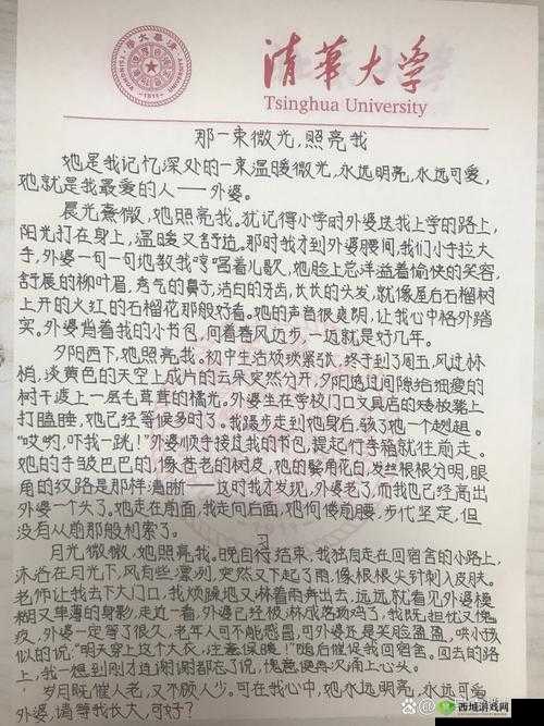 东北那旮瘩的母爱与子:别样的亲情与成长