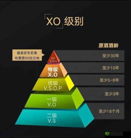 久久久久久久久久一级:这是一个非常特别的等级划分