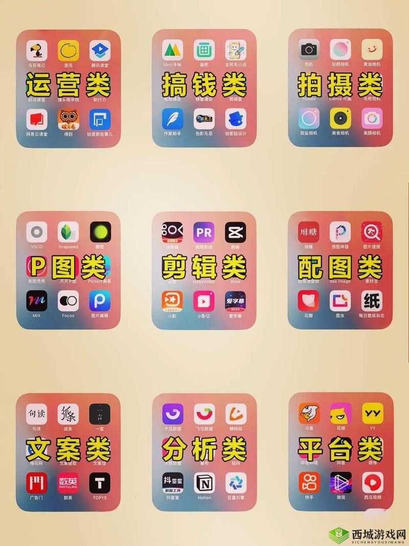 成品短视频 APP 软件大全苹果版:海量优质应用尽在此