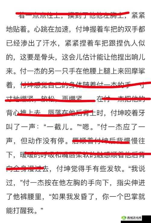 双产骨科年上怀孕骑马:一段不寻常的情感与经历之旅