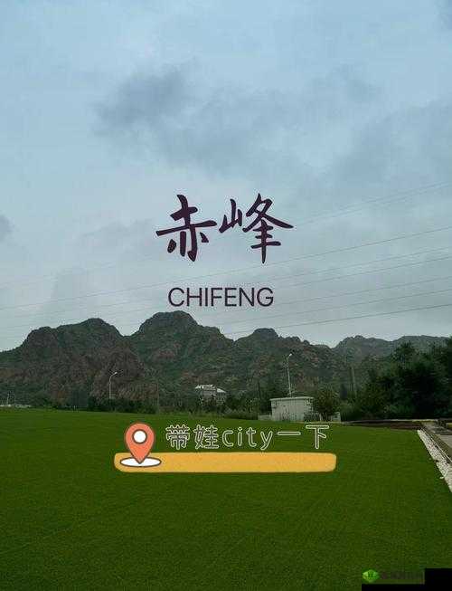 国产精品国精品国自产:探索中华文化的精髓与独特魅力