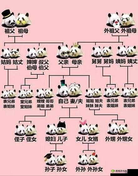 我的妻子的姐姐的女儿我怎么称呼:探寻亲属间的准确称谓