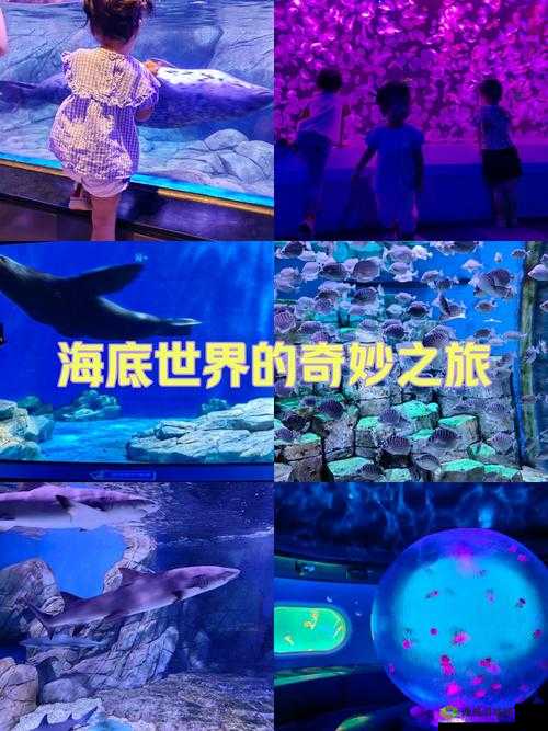 3688 想入飞飞:带你探索奇妙幻想之旅的精彩篇章