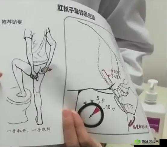 当六年级菊花遭遇棉签:探究生理卫生知识的正确途径