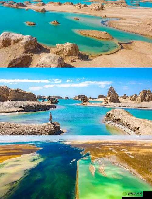 可可西里大胆人文艺术:探寻神秘土地上的独特魅力与文化传承