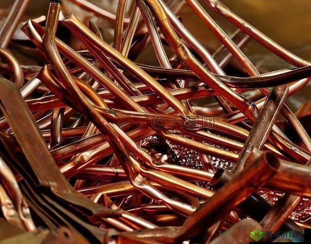 锏铜铜好多水:探究其背后的神秘与独特魅力所在