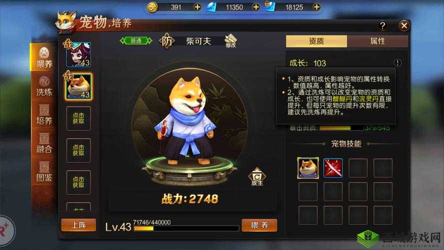 刀锋无双2激萌爱宠大作战,宠物系统深度探索