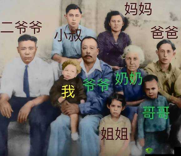 父母儿女一家狂徐海最火:一家温馨欢乐的别样精彩