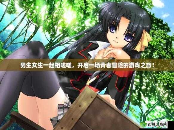 一起相嗟嗟嗟:探索性别平等与情感交流的旅程