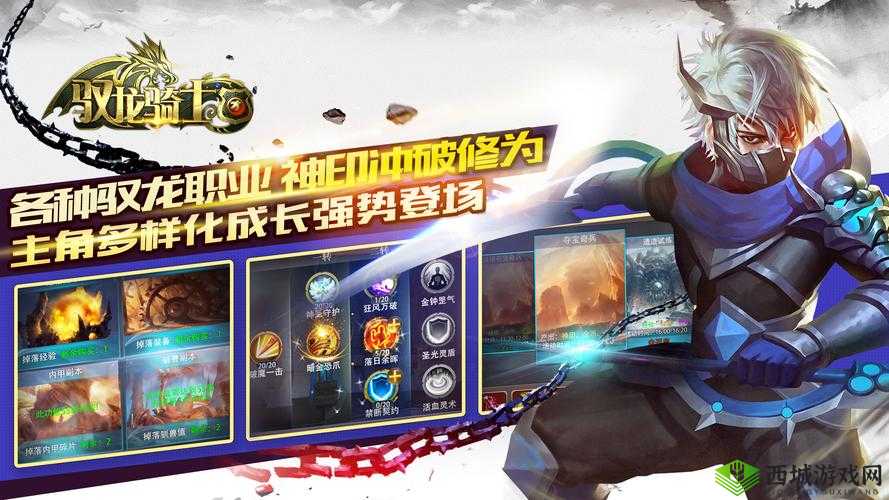 驭龙骑士团全新VIP系统曝光，特权介绍及其在资源管理中的重要性