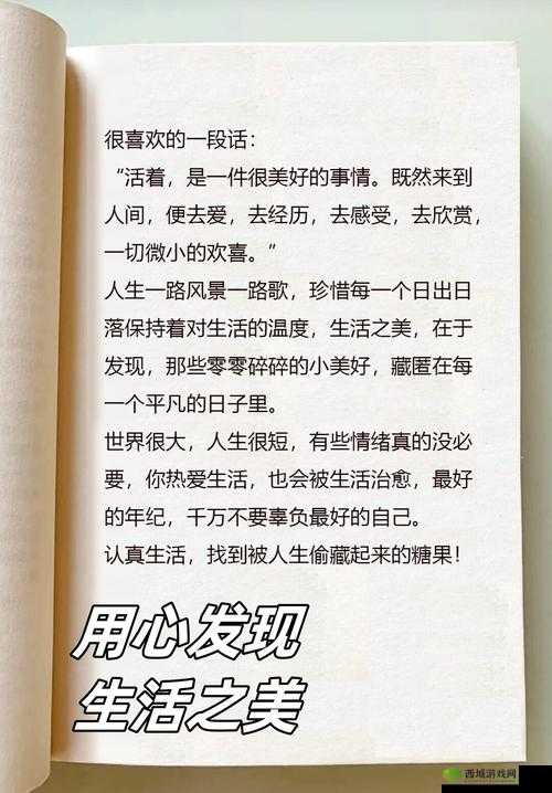 乂乂乂乂乂 BB :开启一段充满惊喜与未知的奇妙旅程