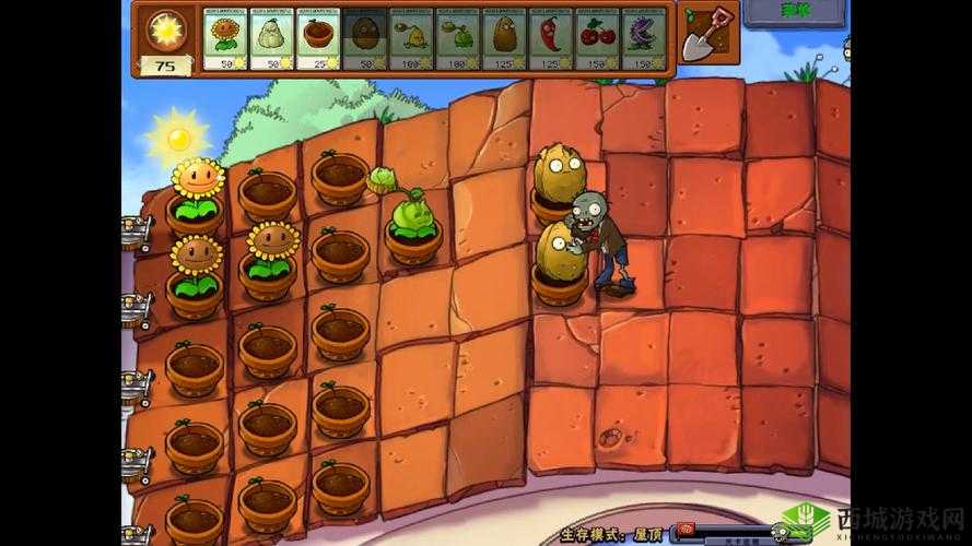 废土危行松露森林生存技巧,三个等级僵尸怎么打