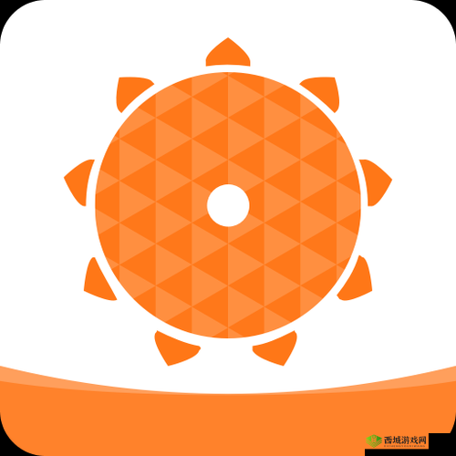 向日葵 app 在线网站进入安卓:带你体验便捷高效的服务与功能