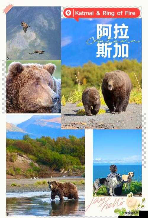 棕熊的秘境探索，创造与魔法世界中的奇妙邂逅