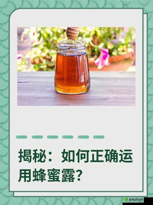 废土危行头晕掉血解决方法,吃花与蜂蜜的详细探讨