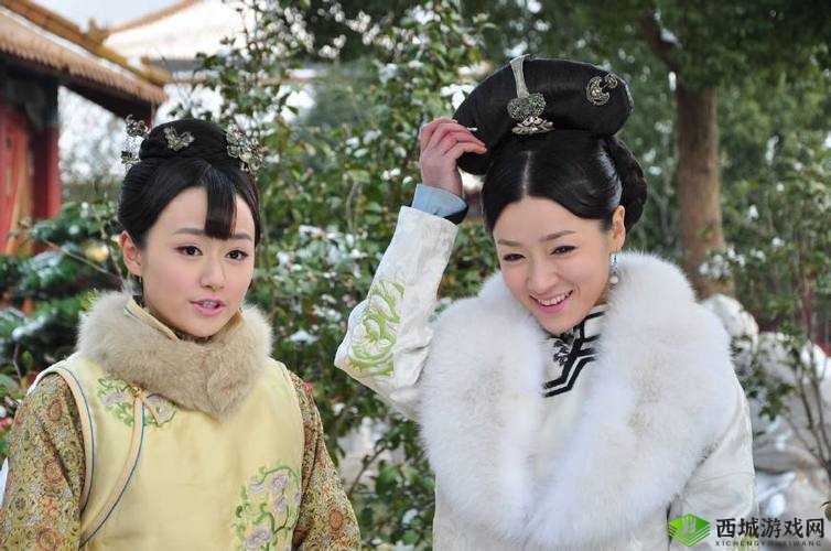 凤凰无双,权谋与荣耀的交织篇章