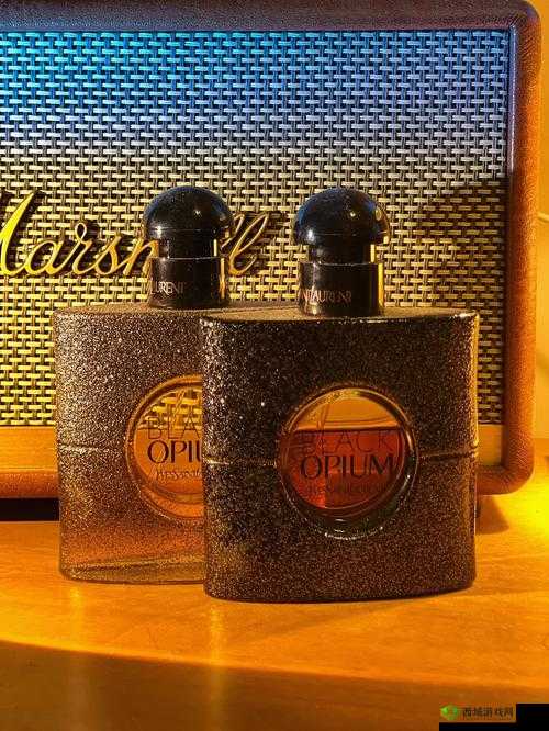 YSL 千人千色 T9T9T9T9T9 资源失效了:真的太遗憾了怎么办呀