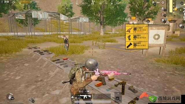 绝地求生,刺激战场中的策略与笑泪交织的获胜之路