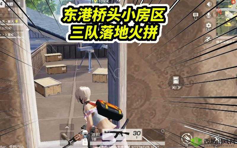 一次淘汰5队人,荒野行动堵桥技巧分享在资源管理中的重要性及策略