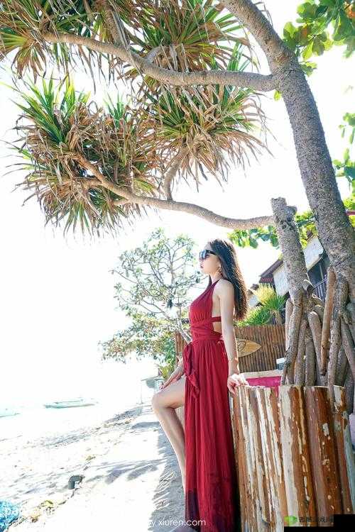 在这个充满诱惑的虚拟世界中,探索安卓黄油网站 SSTMMOESSTMMOE 的无限可能