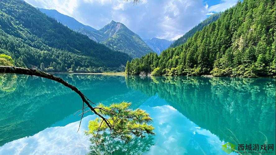 仙踪林网站入口欢迎您免费进入:探索神秘仙境的入口