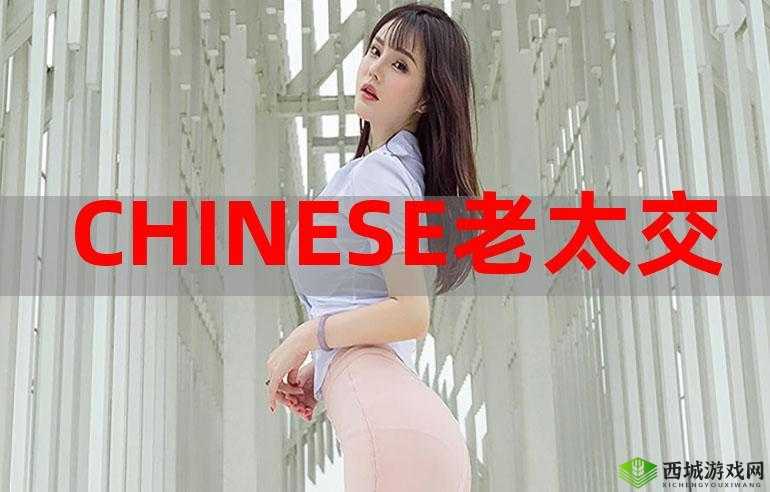 ChineSe7o 老太交 yerS:跨越代沟的爱情故事