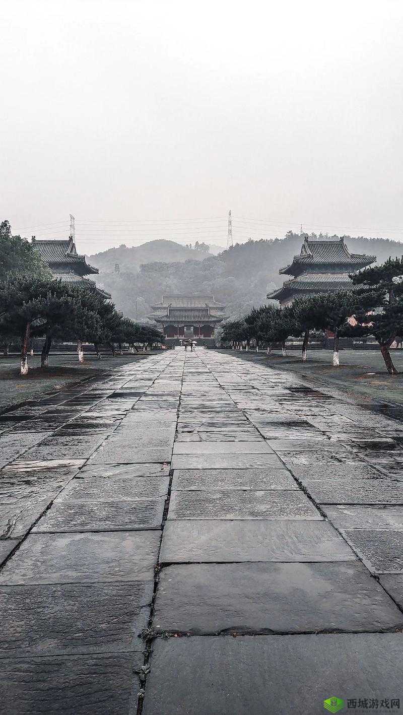 楚留香与3月12日的坐观万象,探寻武当玉虚宫的打坐秘境