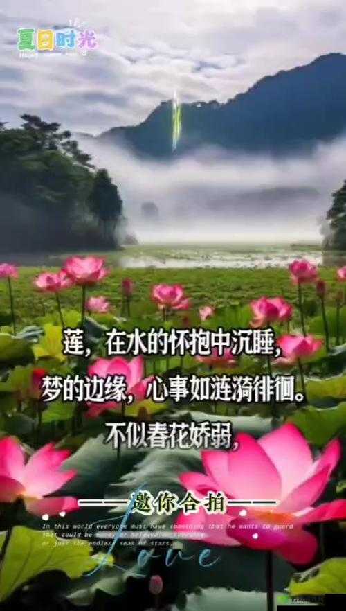 什么叫女人半夜莲花开:探寻其中蕴含的深层意义