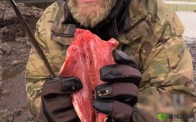 西北君君野战ⅩNⅩⅩCOM：揭秘荒野求生的神秘面纱