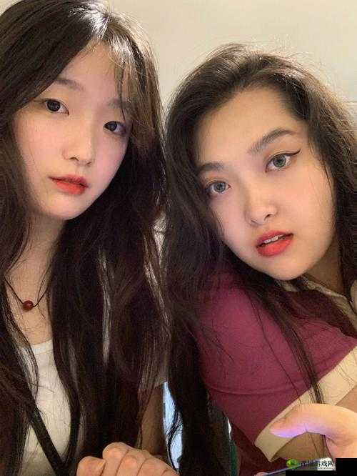 一起踏上gogogo 中文版的激情之旅